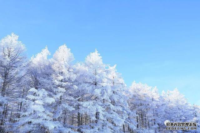 玉树琼林，银龙飞舞......驼梁冬日雾凇雪景大片惊艳来袭