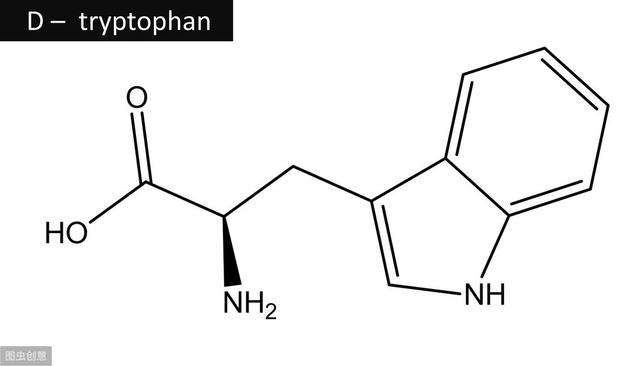 晚餐的注意事项，健康晚餐的原则你知道吗？