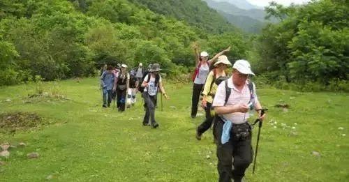 身边有些“万用药”，好用还省钱，现在知道不算晚