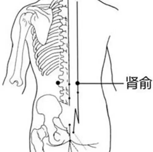 多揉肾、心经，功效赶超六味地黄丸