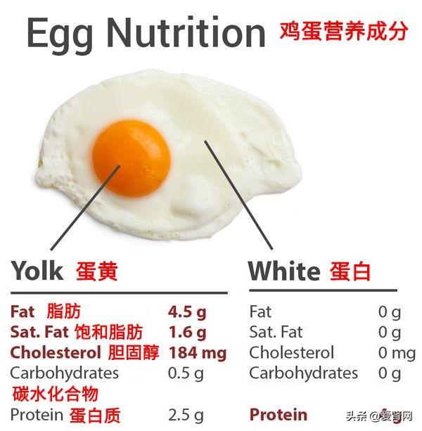 鸡蛋究竟是红皮好，还是白皮好？小鸡蛋有大学问