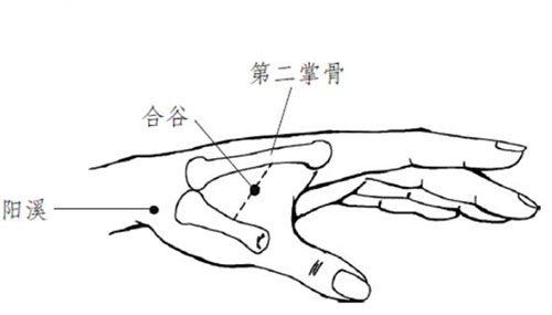 中医推拿活学活用：常用66个穴位的定位顺口溜，帮你轻松巧记穴位