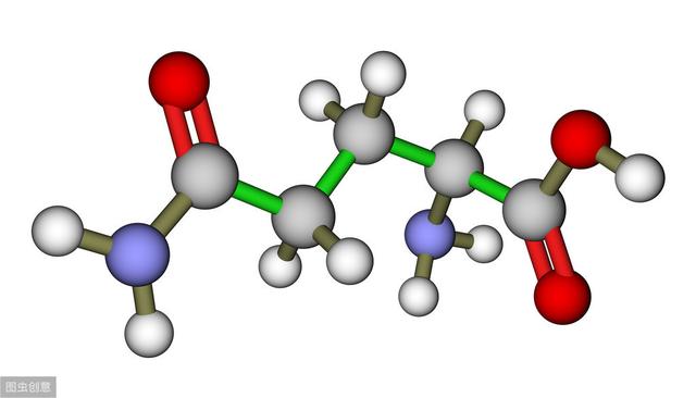 怎么减少肥胖炎症与胰岛素抵抗？谷氨酰胺或许值得补充