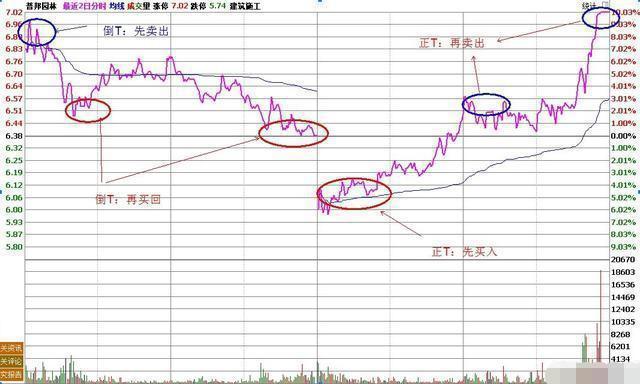 北大女博士罕见发言：其他国家都是T+0，A股为什么却实行T+1？看懂此文，才算真正了解中国股市