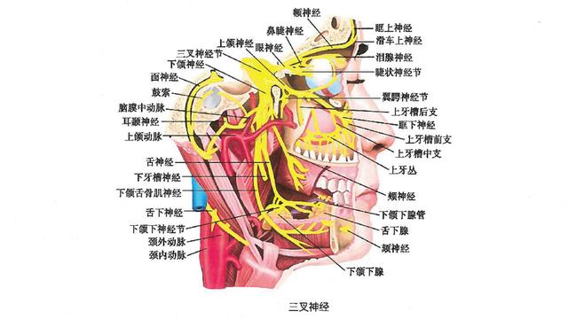 有一种独特的痛，叫神经痛