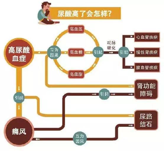 痛风适合多吃碱性食物？本文告诉你，最全的降尿酸指南