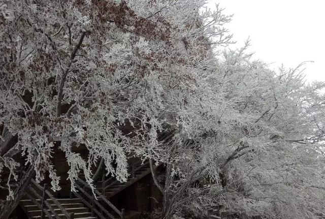 春节还在逛庙会？这家4A景区春节免门票，你确定不来？