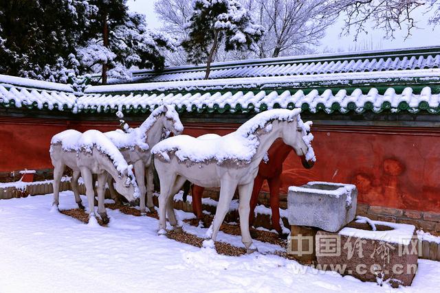 红墙白雪 2020年第一场雪后游地坛