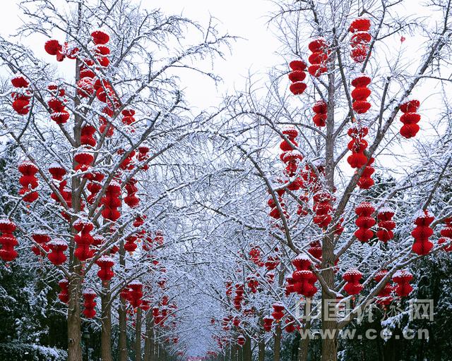 红墙白雪 2020年第一场雪后游地坛