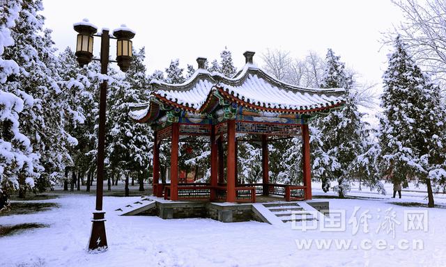 红墙白雪 2020年第一场雪后游地坛