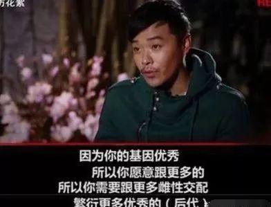 无证上岗成春晚主持？被陈思诚背叛后，她成为更美更强的自己