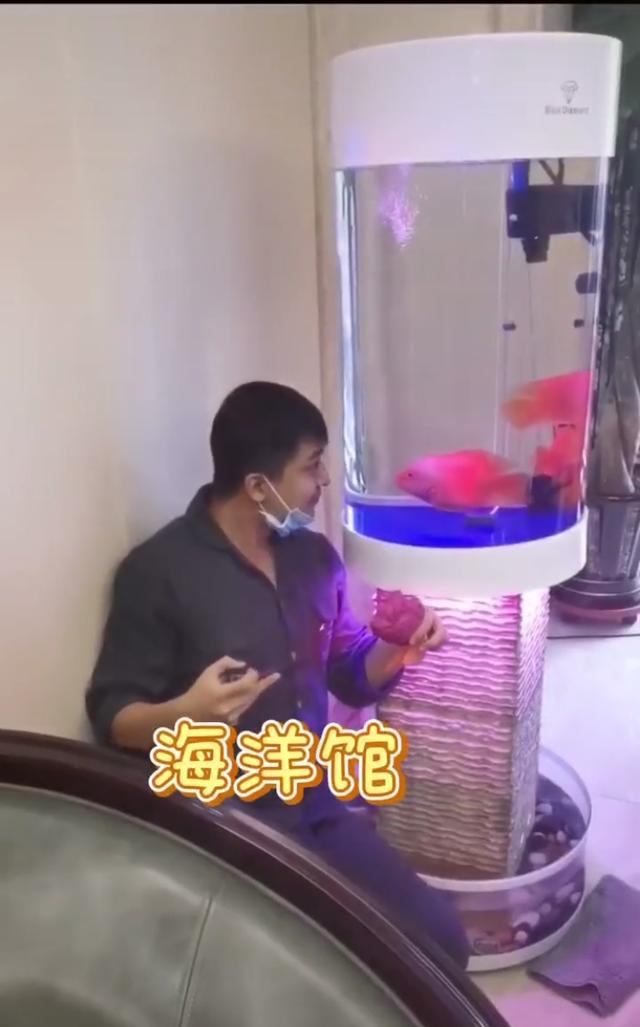 李佳航晒别墅内景名酒满柜，儿子入镜超可爱，细节看李晟很贤惠