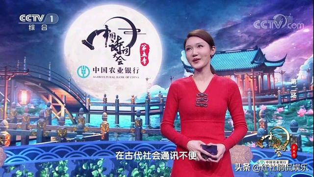 主持人不是董卿的《中国诗词大会》，嘉宾康震老师的笑容都少了