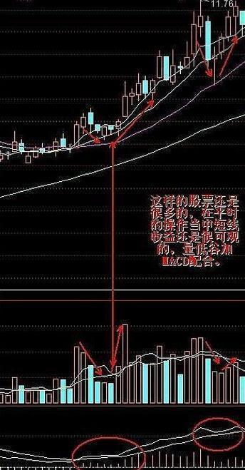 A股有1.5亿散户，大部分散户处于亏损之中，为什么还坚持在股市？