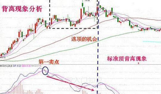 A股有1.5亿散户，大部分散户处于亏损之中，为什么还坚持在股市？