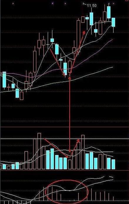 A股有1.5亿散户，大部分散户处于亏损之中，为什么还坚持在股市？