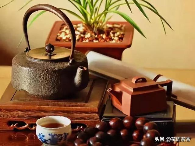 会喝茶的人会做人，会做人的人爱喝茶