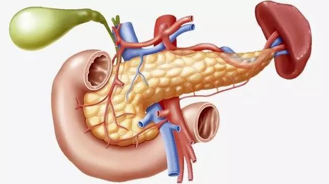 警惕！久治不愈的“胃病”可能是胰腺癌......