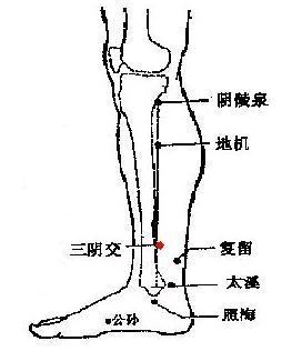 脾为气血生化之源！常按揉脾经十要穴，少生病、精神足、人欢喜