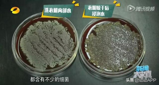 家里最脏的地方竟然不是“马桶”？是这里