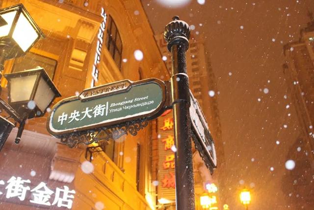 为了雪，去一次东北也值得