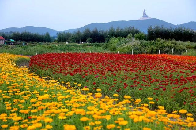 【全域旅游•大德敦化】美景系列——六鼎山文化旅游区