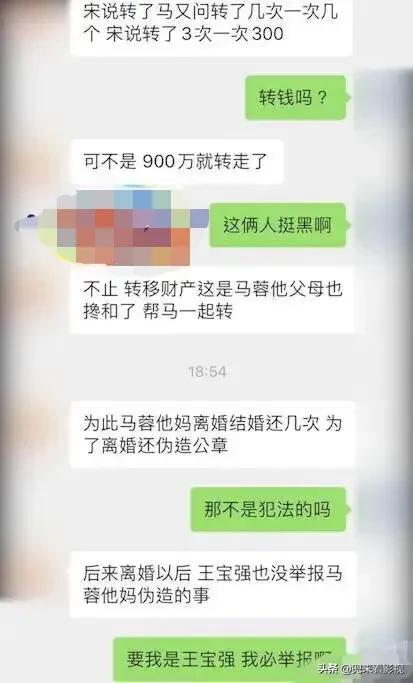 王宝强马蓉离婚事件，知情人向媒体曝光一份聊天记录