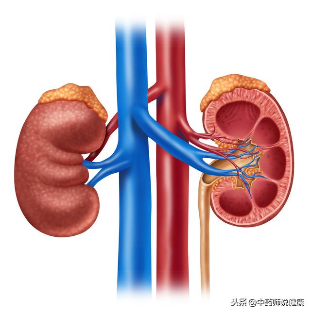 肾不好，别雪上加霜，记住4个少吃，肾病康复有希望