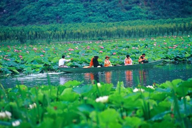 30个国内醉美旅行地，哪个才是你心中的NO.1？