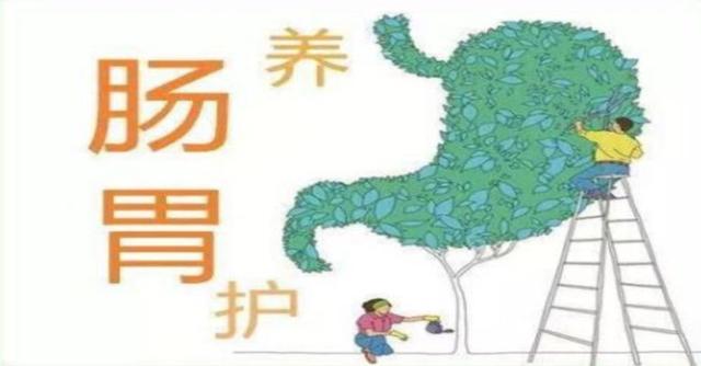 胃有"四怕"，要改变才能保护好胃