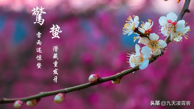 3月5日是惊蛰，是锻炼身体，保养元气的好日子