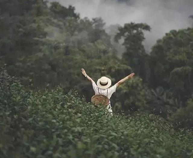 心态好的人，一辈子都好