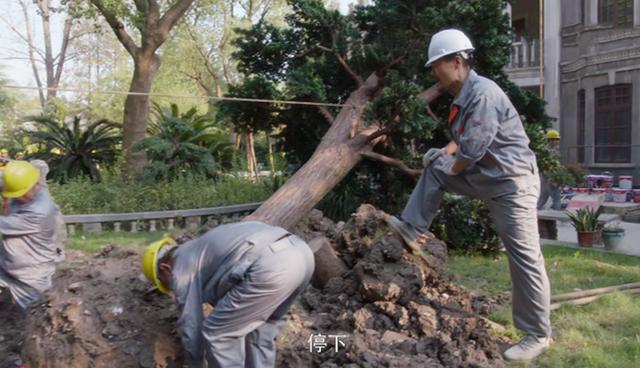 《安家》房似锦白忙活，林茂根私下与卖家交易，最后差点被坑