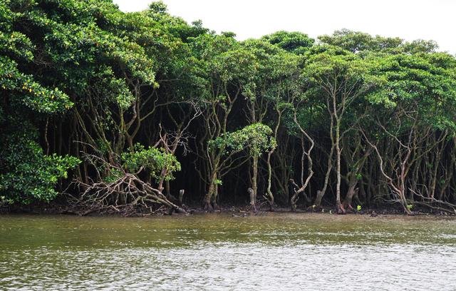 云游海南：北部海南文化深厚，历史古迹浩然正气