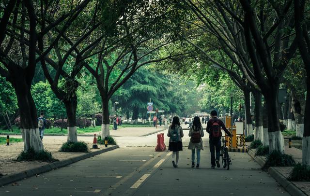 这个地方所有的景点，向全国人民免费开放，实在是大气