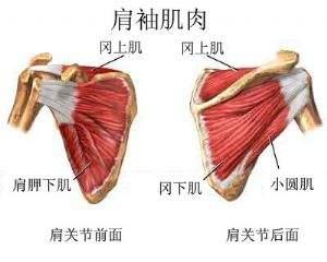 肩膀不同部位疼痛，预示着不同疾病，不能随便治疗