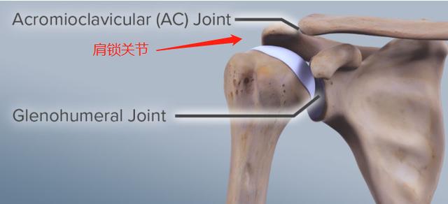 肩膀不同部位疼痛，预示着不同疾病，不能随便治疗