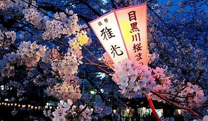 2020东京「夜樱」点灯景点巡礼，个个美不胜收，如临仙境