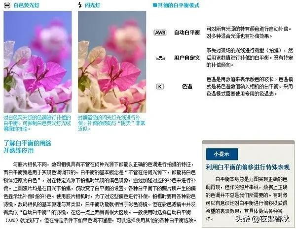 摄影基础知识，学完你也可以成摄影师