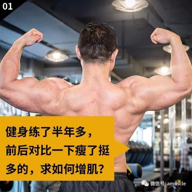 健身最多咨询的问题：胸肌和腹部训练，一起来解答