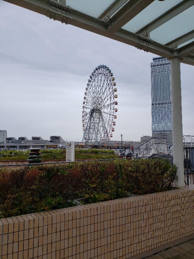 如果你今生只想去一次日本，千万别跟我一样，报这样的旅行团 完