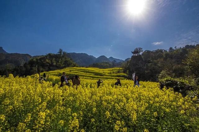 石台：三月，一起去看花！