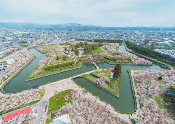 北海道樱花：观赏樱花的8个最佳去处（2020年版）