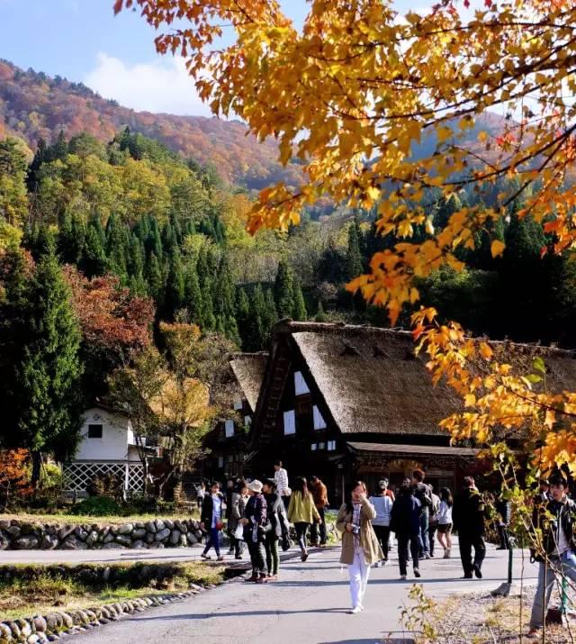 看了真实的日本农村，给我国乡村旅游旅游带来哪些启发？