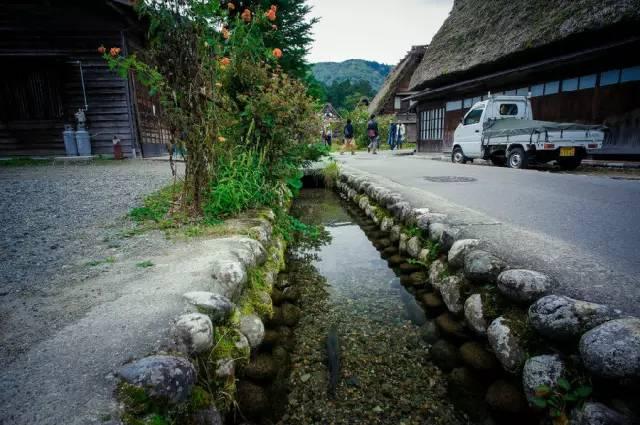 看了真实的日本农村，给我国乡村旅游旅游带来哪些启发？