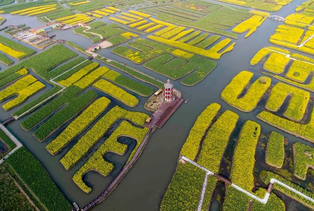 人民网点赞，中国最美水上油菜花田