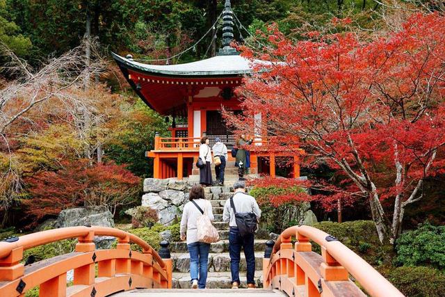 日本旅游别只惦记着樱花，醍醐寺比樱花可美多了