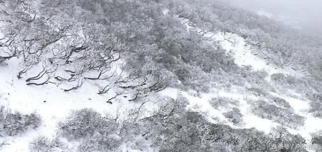 云南不容错过的十大旅游景点，第1是玉龙雪山，第5是我的最爱