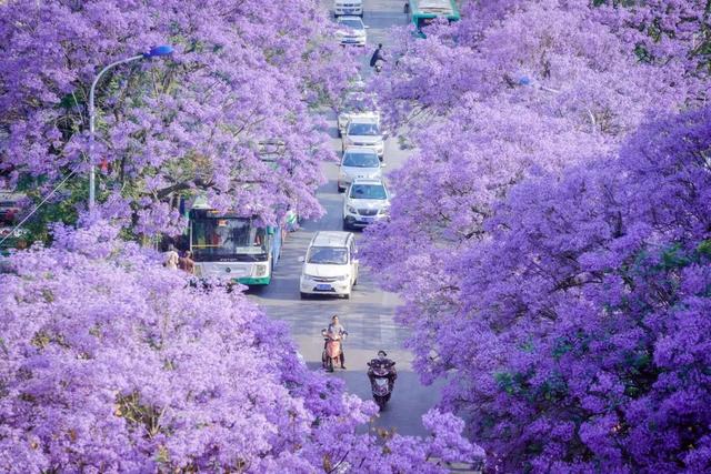 4月，这12个旅行地颜值爆表！疫情过后，让我们尽情的玩吧！