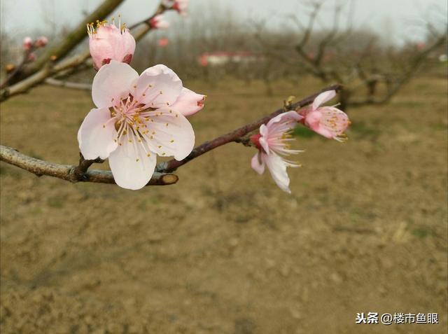 3月之后 中国楼市的春天脚步越来越近了